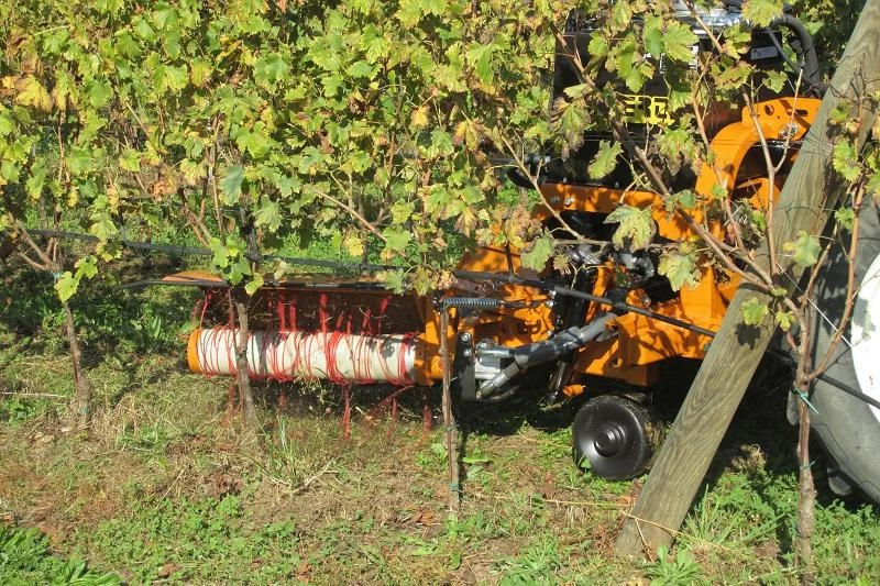 Between-Row & Weed- Mowers